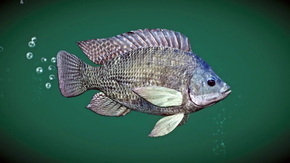 Planet Zoo — Нильская тилапия — новые виды