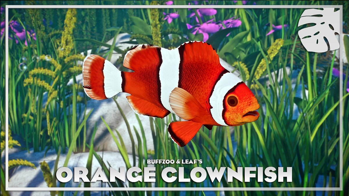 Planet Zoo — Оранжевая рыба-клоун - новые виды