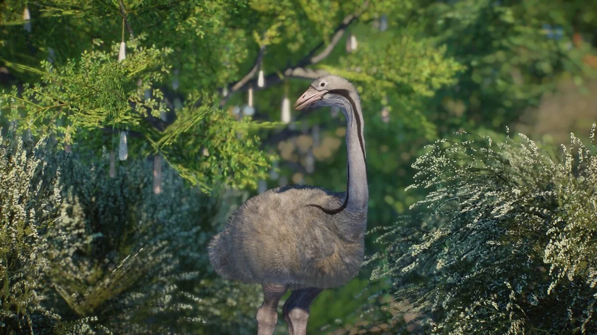 Planet Zoo — Слоновая птица - новые виды