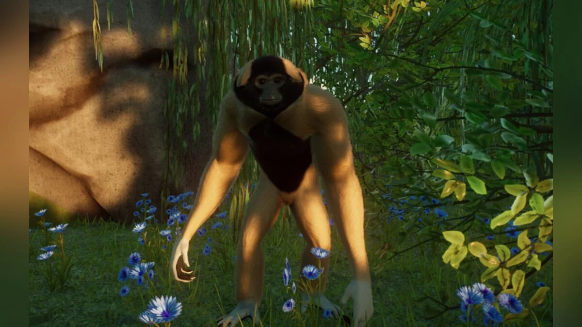 Planet Zoo — Гофрированный гиббон