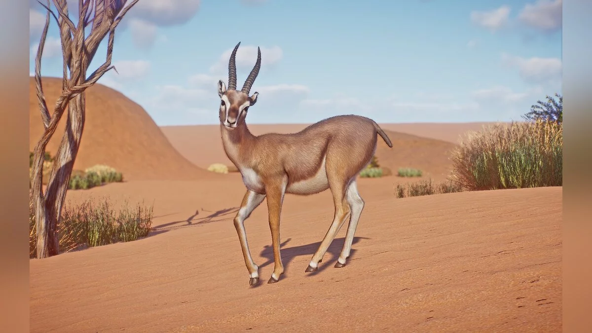 Planet Zoo — Горная газель - новые виды