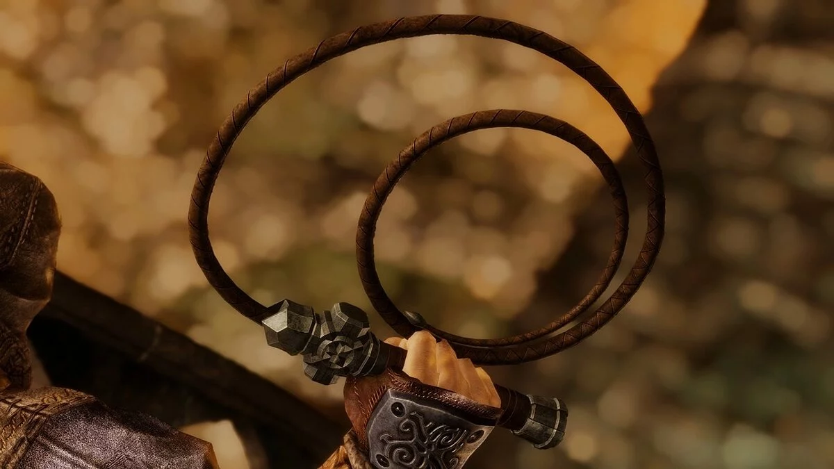 Elder Scrolls 5: Skyrim Special Edition — Хлыст из игры Castlevania