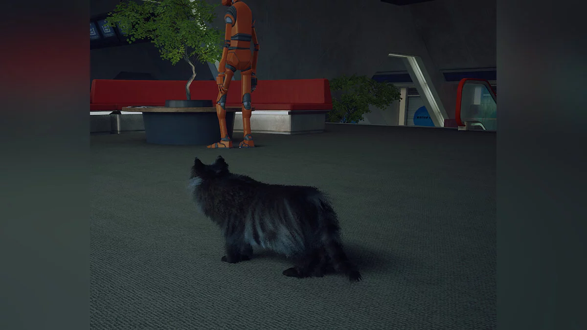 Stray — Киану маленький лев