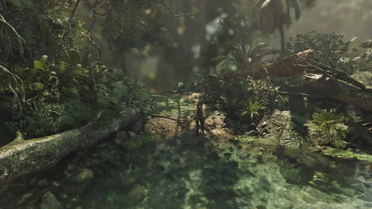 Shadow of the Tomb Raider — Расширенный фоторежим