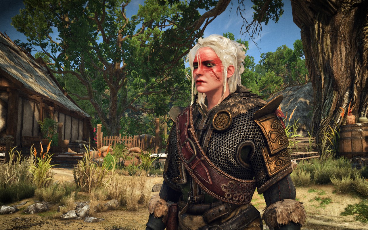Patch for the witcher 3 фото 58