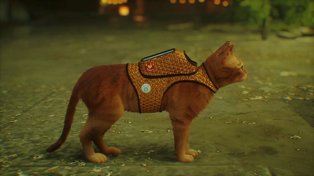 Stray — Облик рюкзака - золотой жилет