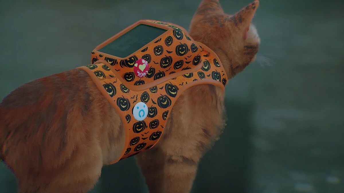 Stray — Облик рюкзака - Хэллоуинские тыквы