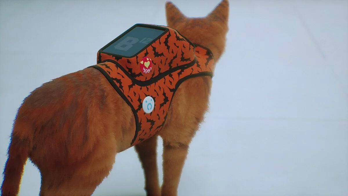 Stray — Облик рюкзака - летучие мыши Хэллоуина