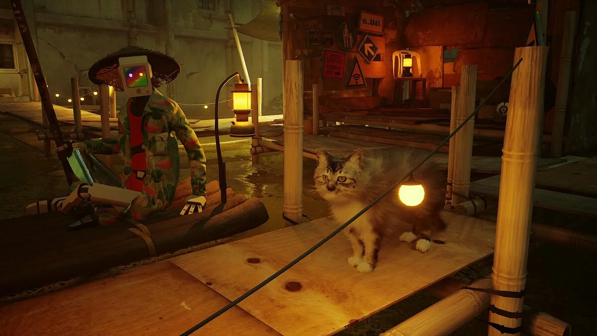 Stray — Фелиция