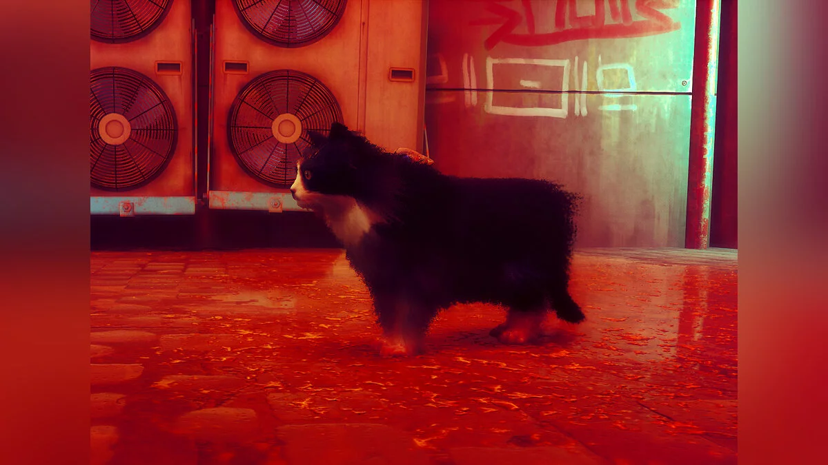 Stray — Сильвестр