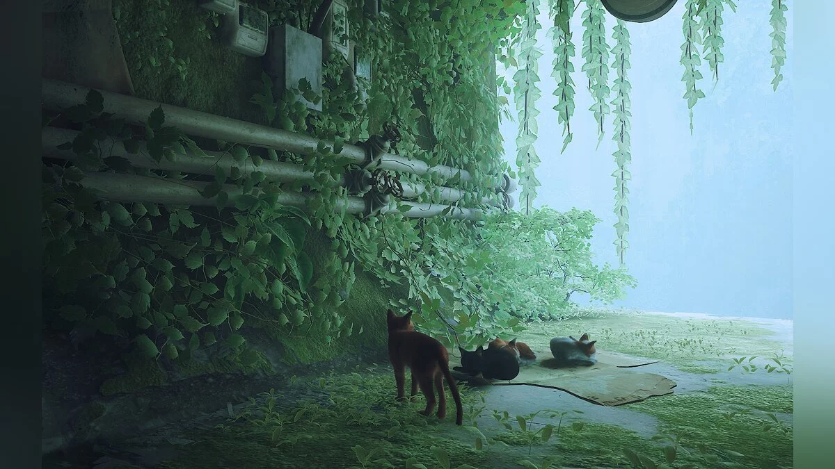 Stray — Реальная глубина 3D ReShade