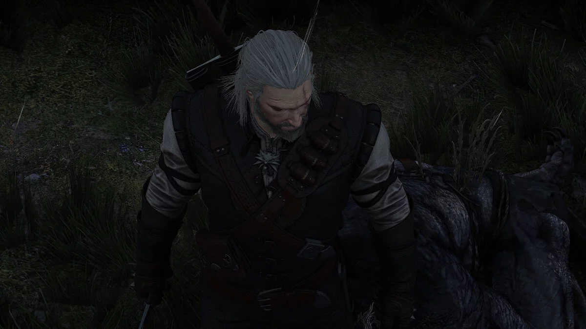 The Witcher 3: Wild Hunt - Complete Edition — Активный медальон