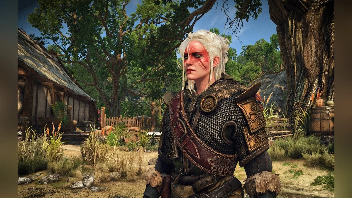 The Witcher 3: Wild Hunt - Complete Edition — Цири - стиль Скеллиге