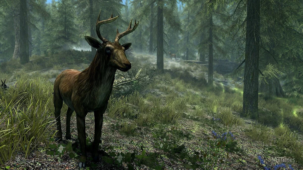 Elder Scrolls 5: Skyrim Special Edition — Обыкновенный олень