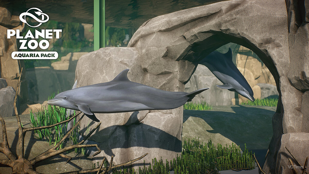 Planet Zoo — Дельфин-афалина - новые виды в аквариуме