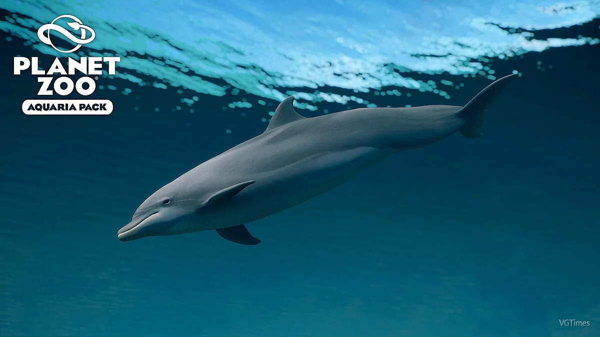 Planet Zoo — Дельфин-афалина - новые виды в аквариуме
