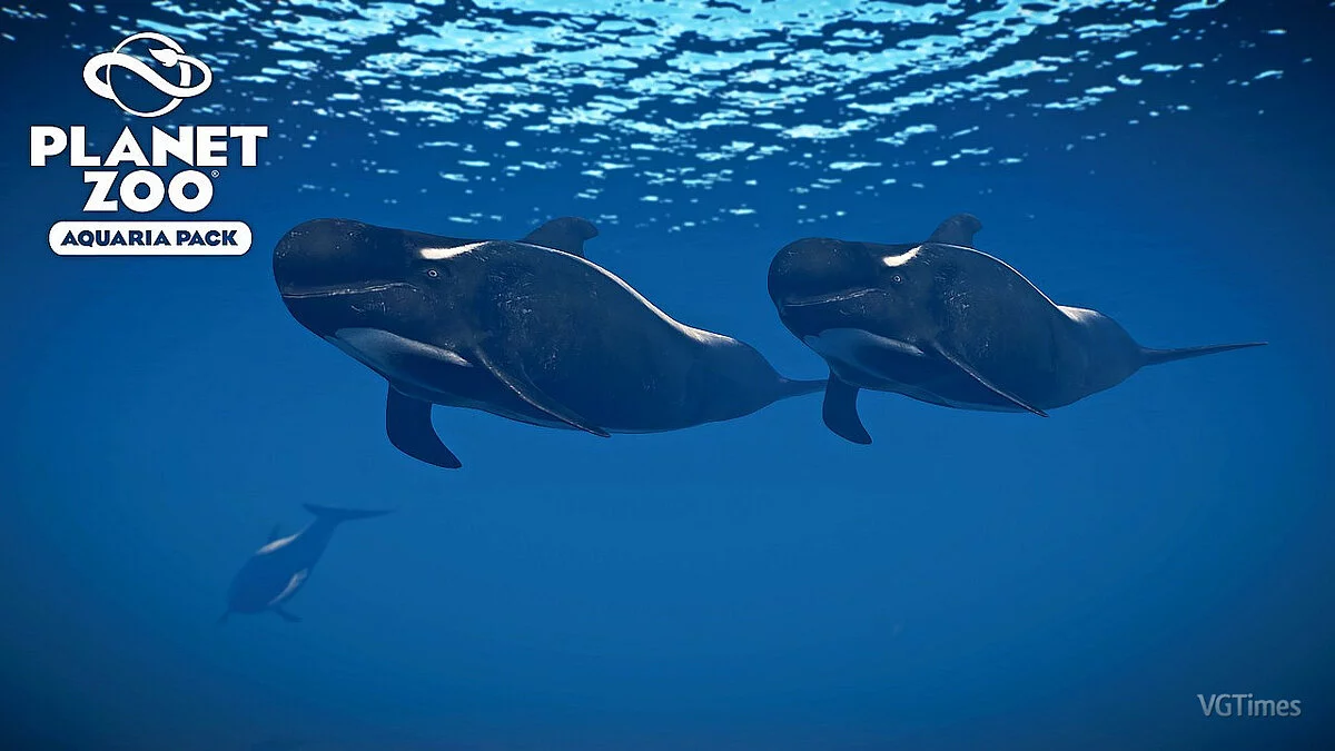 Planet Zoo — Кит-пилот с короткими плавниками