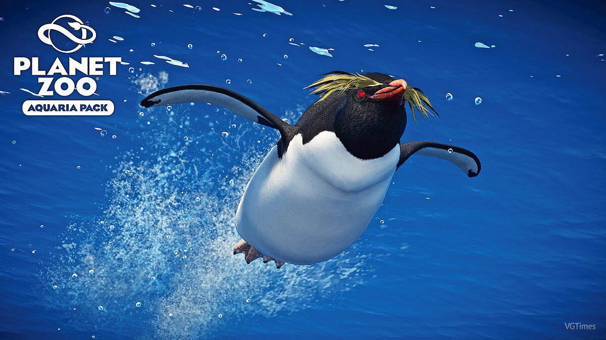 Planet Zoo — Южный пингвин рокхоппер
