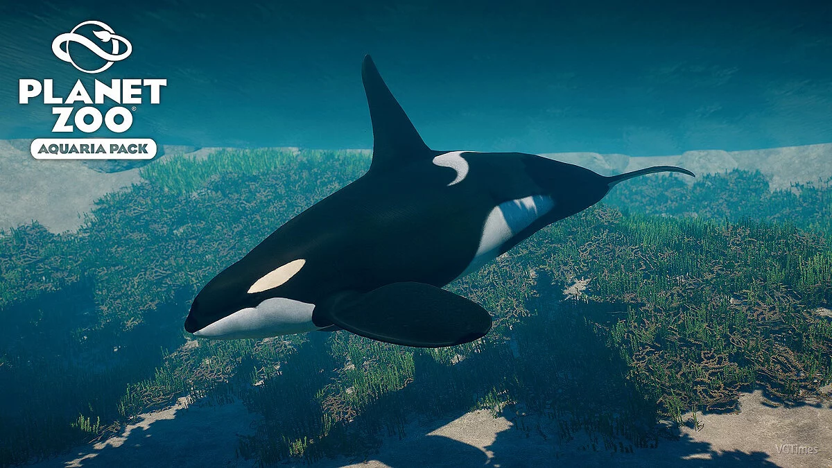 Planet Zoo — Косатка  - новые виды