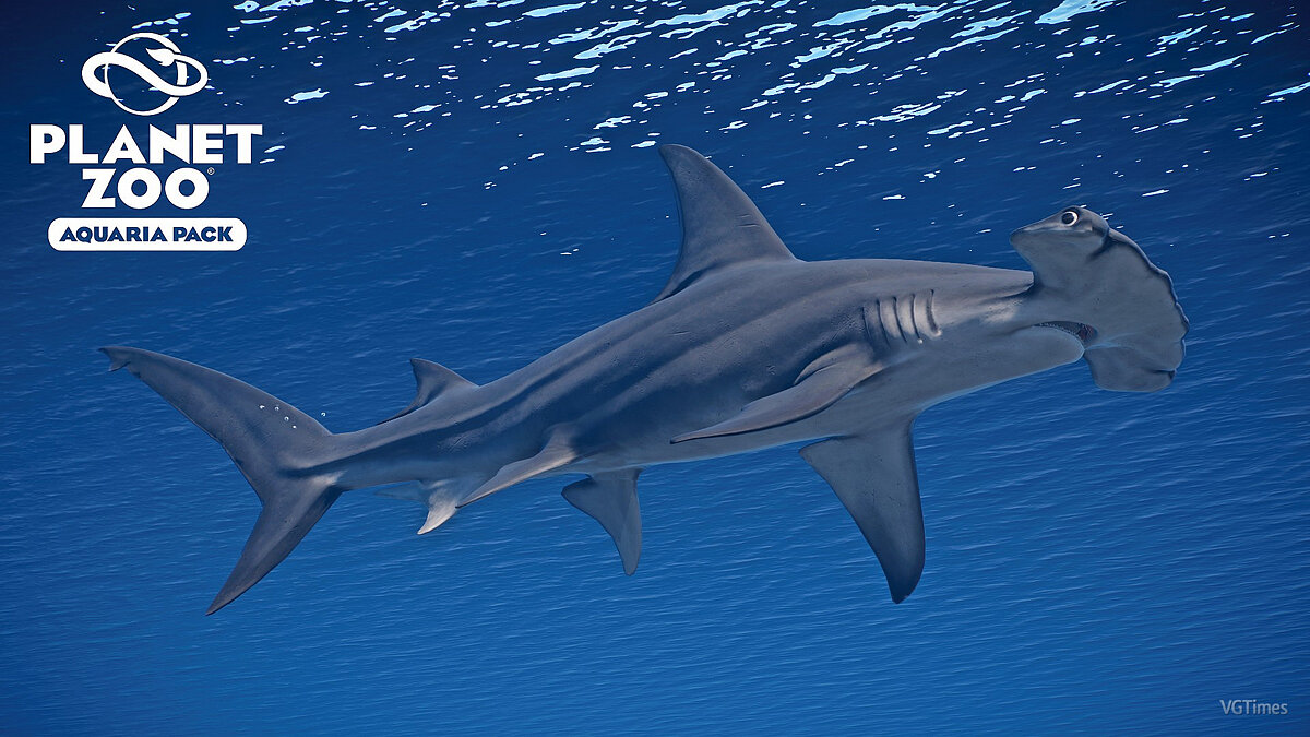 Planet Zoo — Большая акула-молот - новые виды