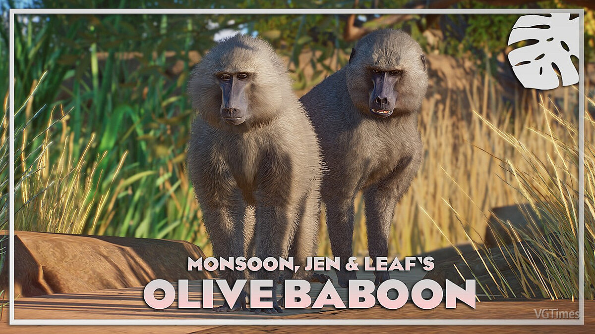 Planet Zoo — Оливковый бабуин — новые виды