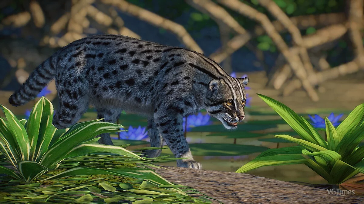 Planet Zoo — Кошка-рыболов - новые виды