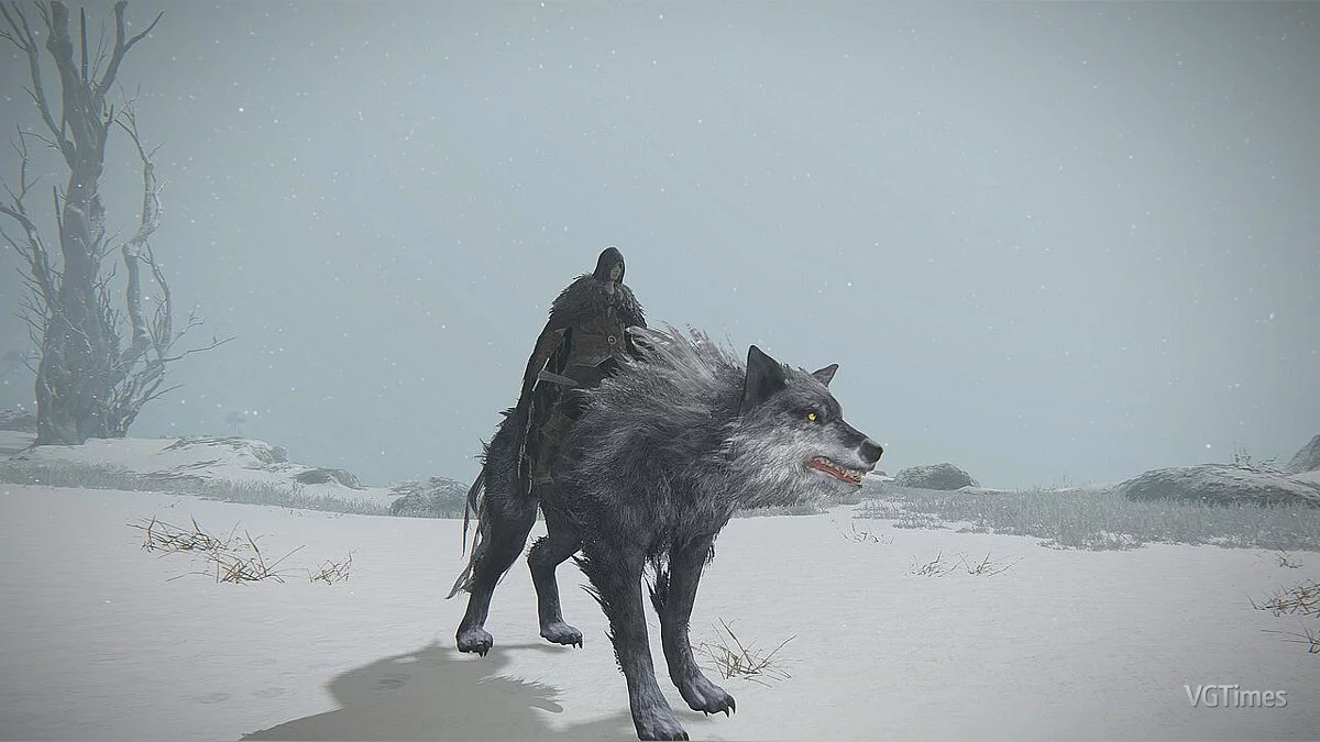 Elden Ring — Лютоволк вместо Торрента