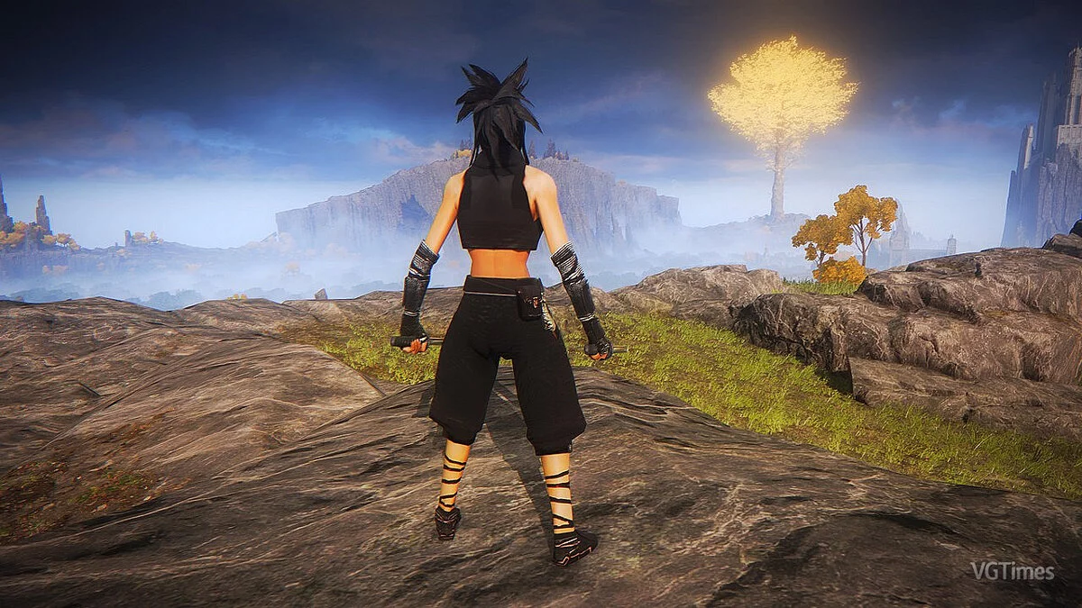 Elden Ring — Аяме из игры Tenchu: Wrath of Heaven