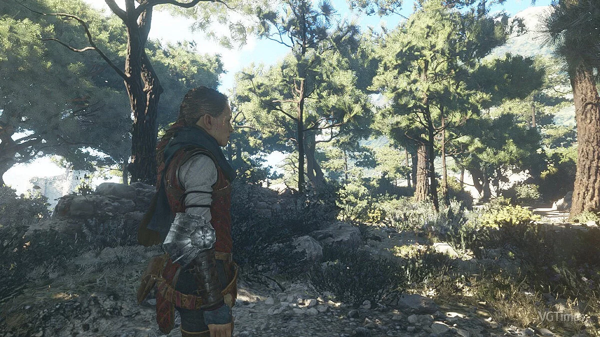 A Plague Tale: Requiem — Натуральные цвета