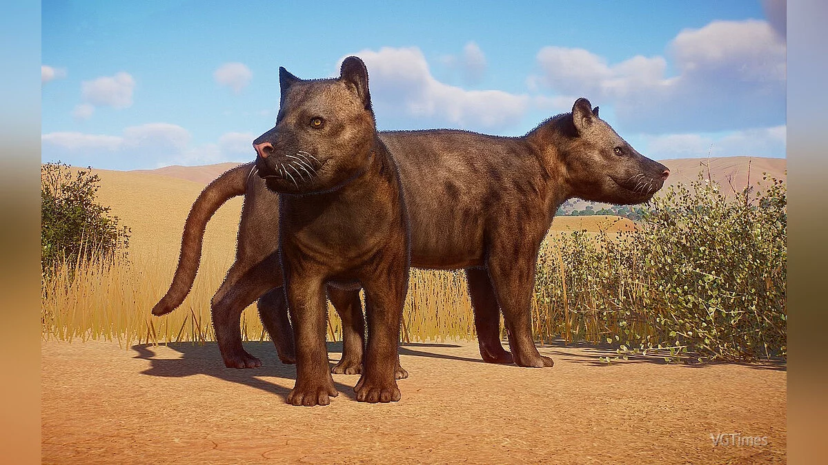 Planet Zoo — Мегистотерий — новые виды