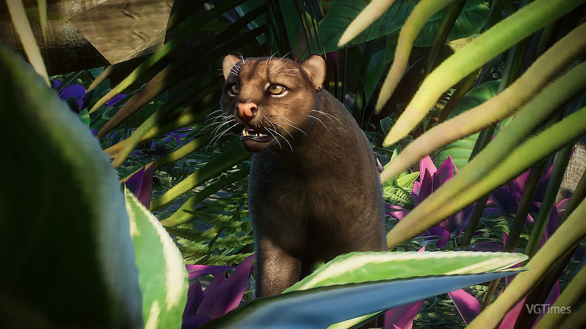 Planet Zoo — Ягуар — новые виды