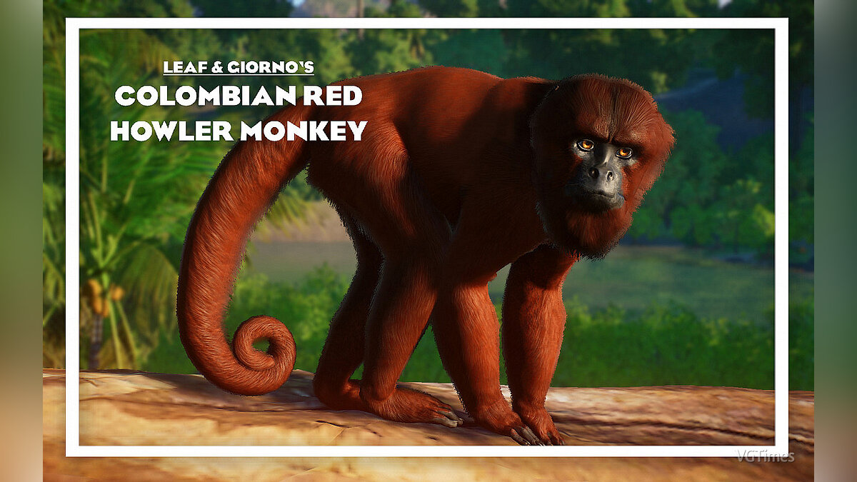 Planet Zoo — Колумбийская красная обезьяна-ревун - новый вид