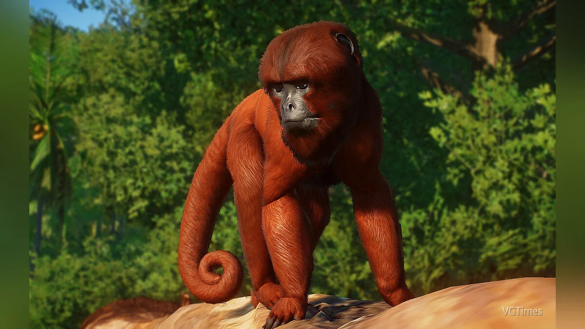 Planet Zoo — Колумбийская красная обезьяна-ревун - новый вид