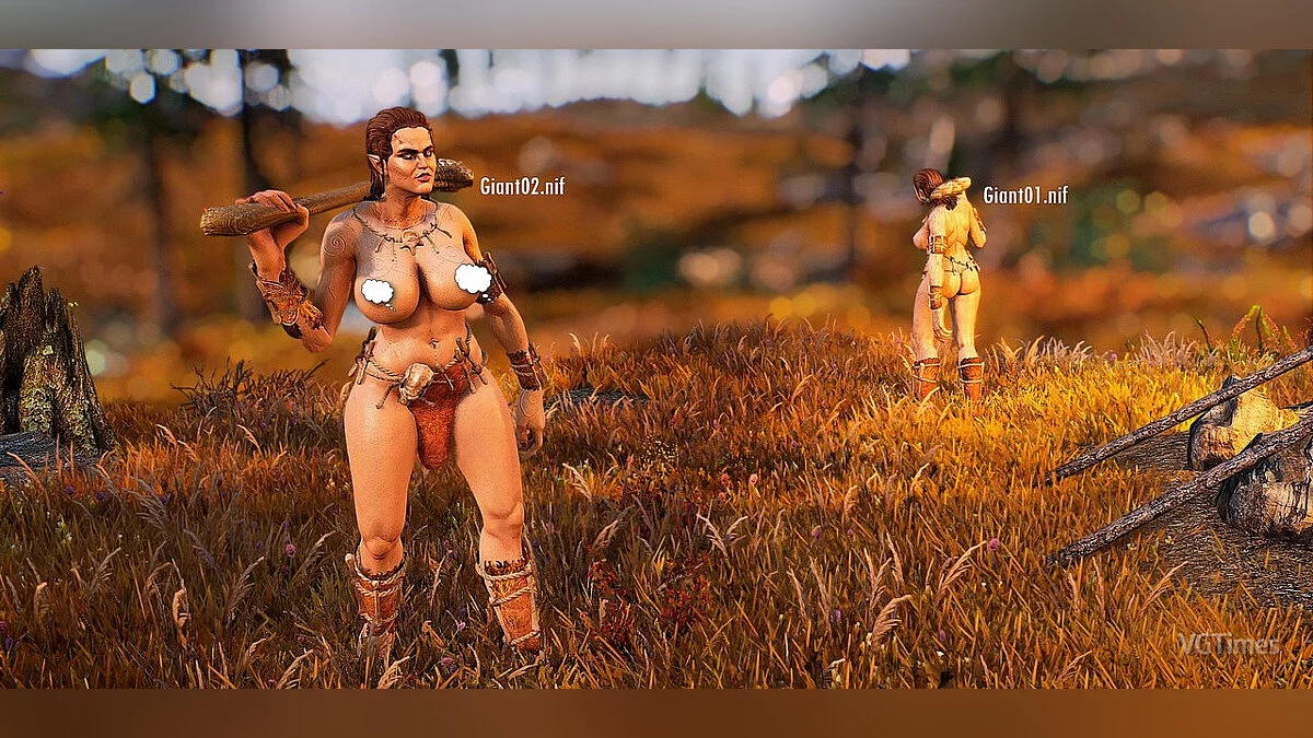 TE 5 Skyrim үшін порно-модельдер