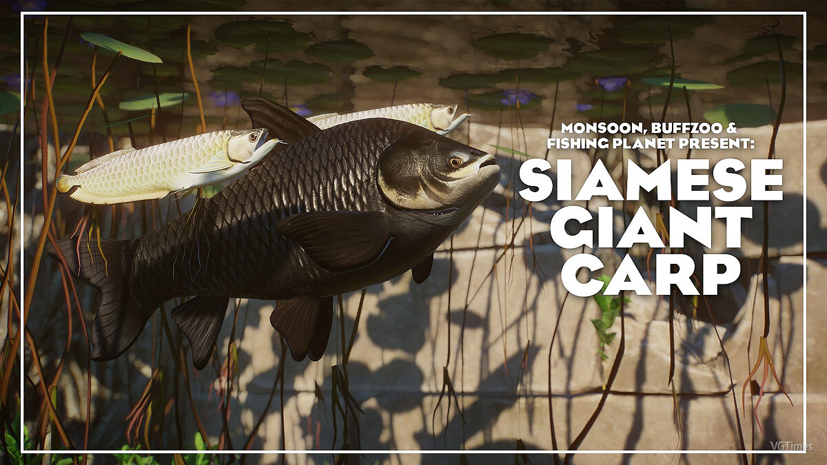 Planet Zoo — Сиамский гигантский карп - новые виды