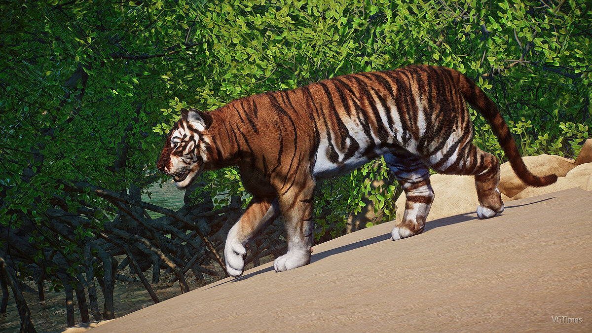 Planet Zoo — Яванский тигр — новые виды / Существа и монстры / Персонажи и  игроки