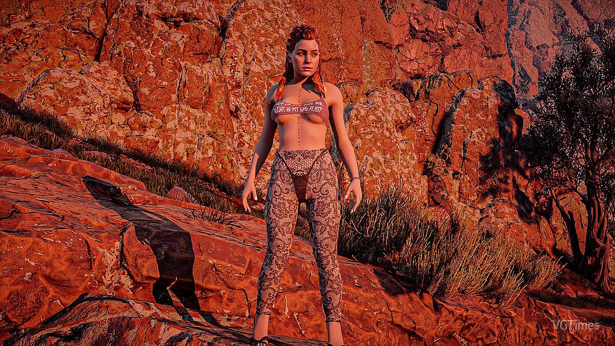 Horizon Zero Dawn — Сексуальное белье для Элой