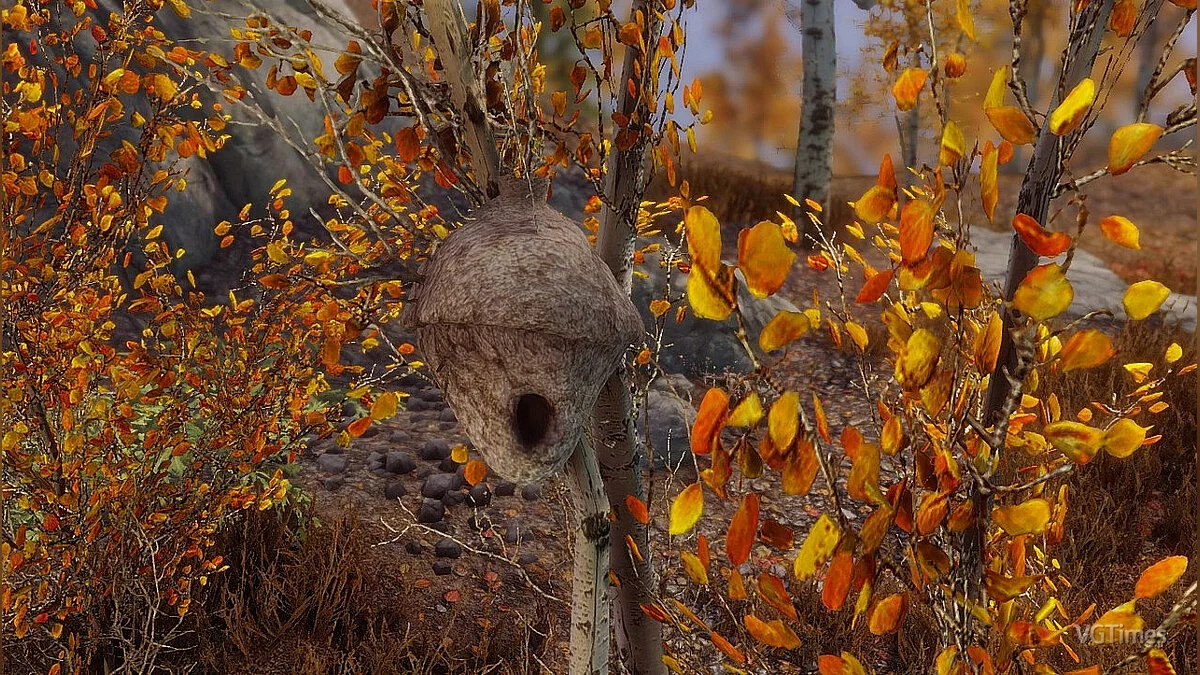 Elder Scrolls 5: Skyrim Special Edition — Высокодетализированный улей