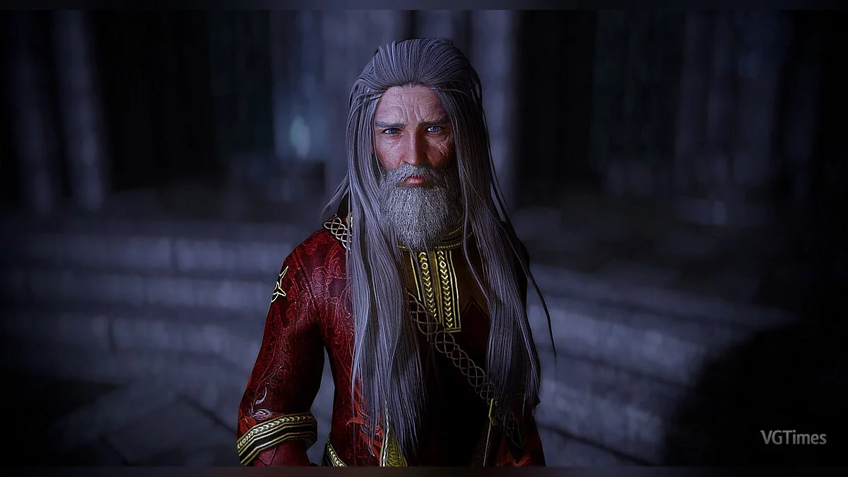 The Elder Scrolls 5: Skyrim Legendary Edition — Улучшенные мужчины коллегии Винтерхолда