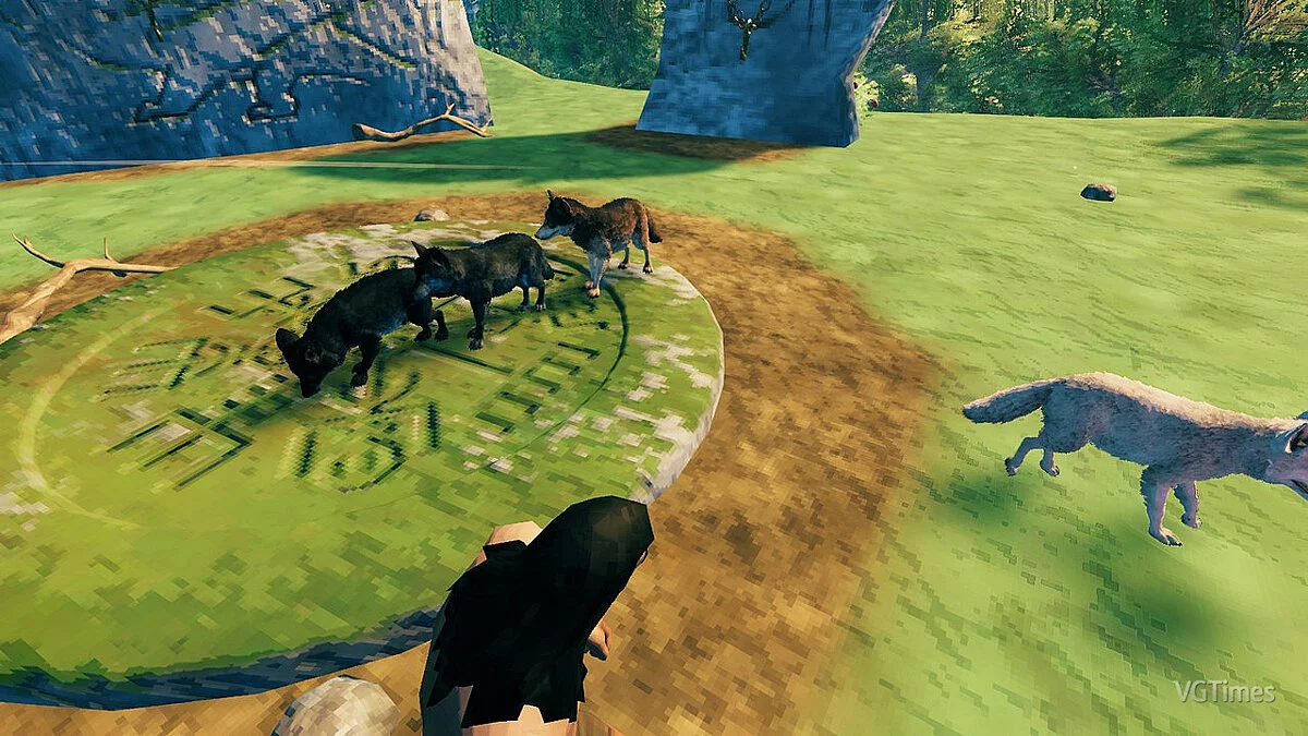 Valheim — Волки