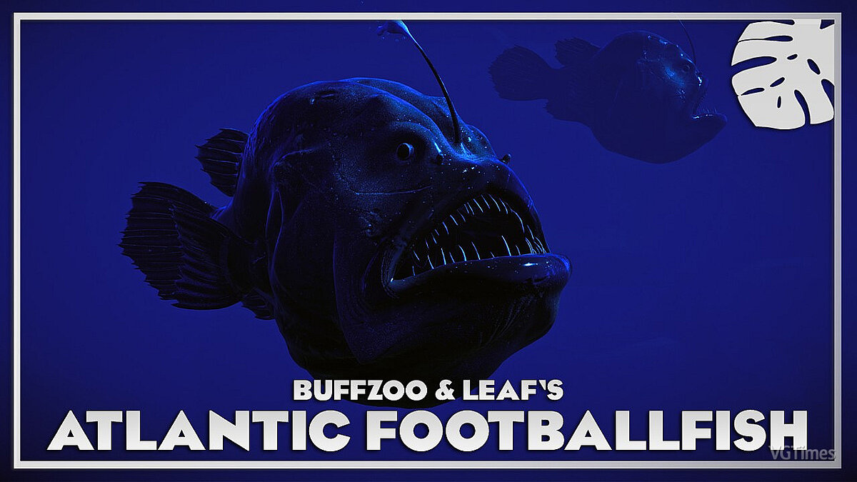 Planet Zoo — Атлантическая футбольная рыба - новые виды