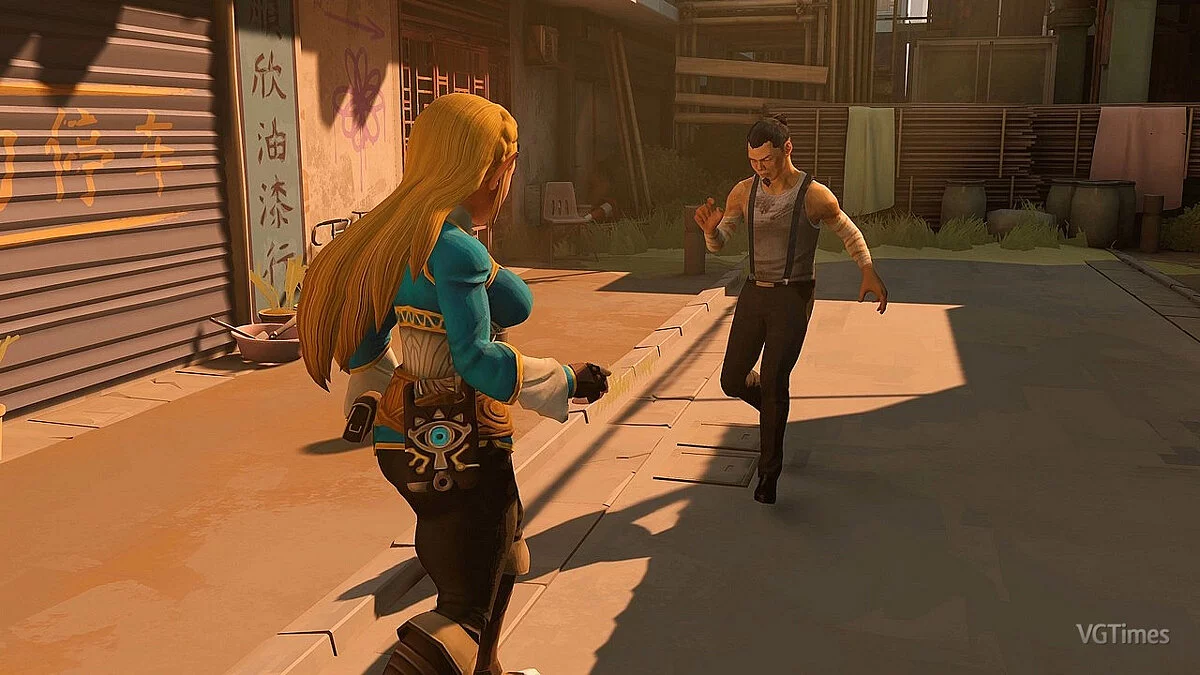 Sifu — Зельда из игры The Legend of Zelda