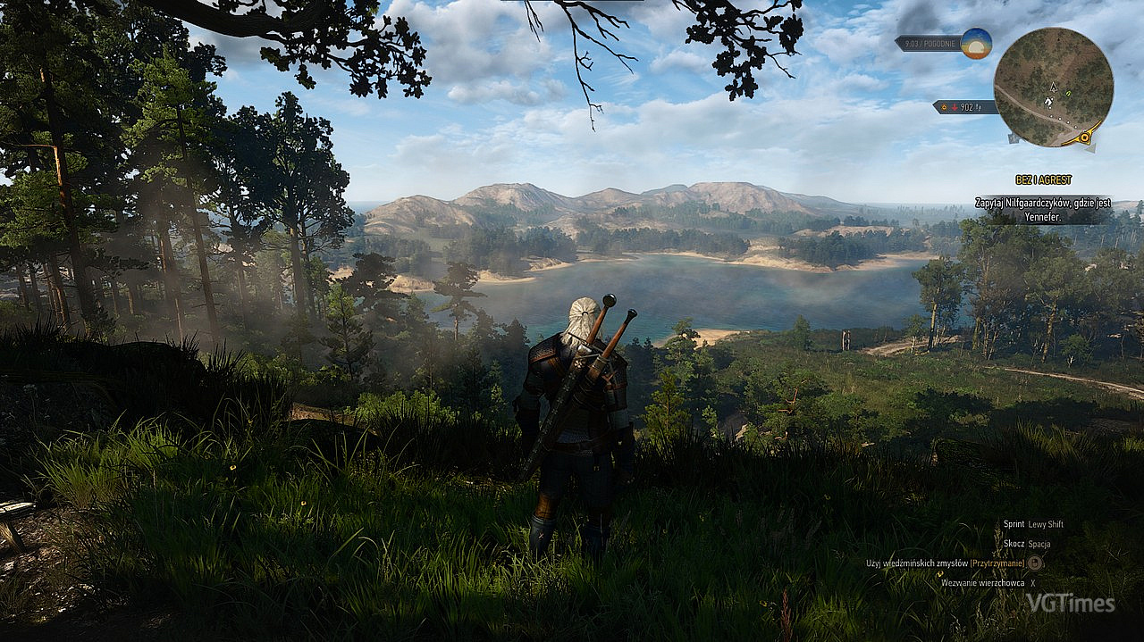 The witcher 3 console nexus фото 80