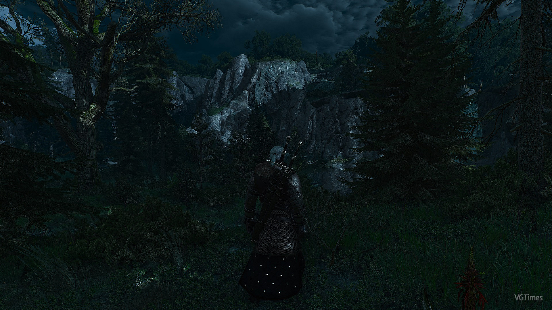 The witcher 3 next gen mods фото 48