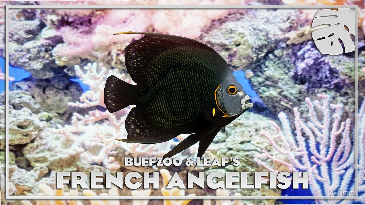 Planet Zoo — Французская рыба-ангел - новые виды