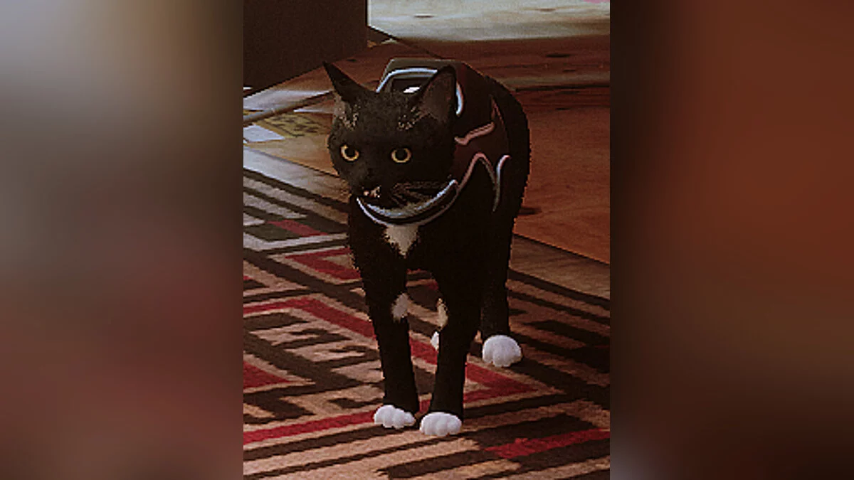 Stray — Чак — скин игрока