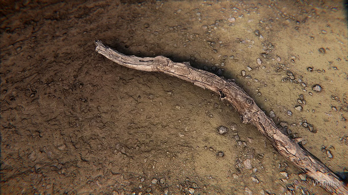 Elder Scrolls 5: Skyrim Special Edition — Коряги в 4K