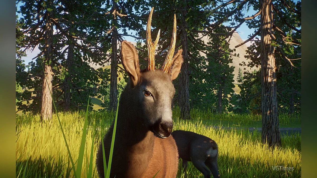 Planet Zoo — Западная косуля - новые виды