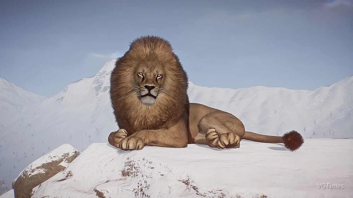 Planet Zoo — Берберийский лев — новые виды