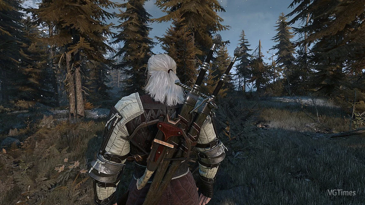 The Witcher 3: Wild Hunt - Complete Edition — Отключение физики волос (Next Gen)